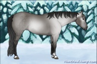 Horse Color:Gray Grullo Sabino 