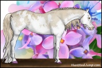 Horse Color:Classic Cream Champagne Splash Appaloosa 