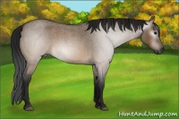 Horse Color:Gray Brown Roan Dun 