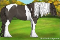 Horse Color:Smoky Black Tobiano 