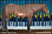 Horse Color:Bay Frame Appaloosa