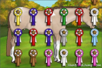 Horse Color:Grullo Pearl Tobiano Rabicano 