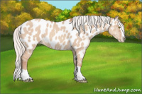 Horse Color:Silver Sable Champagne Dun Splash Near Leopard 