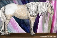 Horse Color:Silver Buckskin Snowcap 