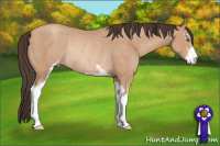 Horse Color:Amber Champagne Sabino Rabicano