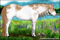 Horse Color:White Spotted Chestnut Frame 