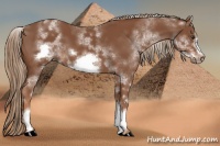 Horse Color:White Spotted Chestnut Frame 