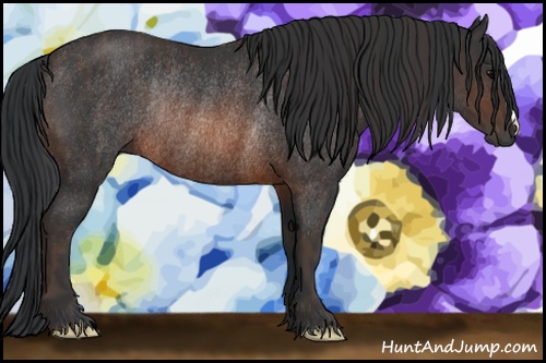 Horse Color:Brown Rabicano Brindle