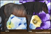 Horse Color:Brown Rabicano  Brindle