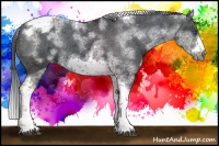 Horse Color:White Spotted Black Splash Tobiano Frame Blanket