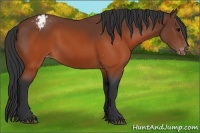 Horse Color:Brown Snowcap 