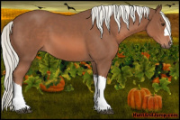 Horse Color:Liver Chestnut Mushroom 