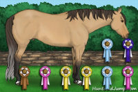 Horse Color:Buckskin Dun