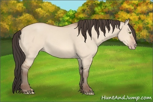 Horse Color:Amber Champagne Dun 