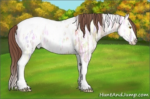 Horse Color: Sable Champagne Ice Dun Splash Tobiano Blanket 