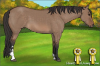 Horse Color:Bay Dun Sabino 