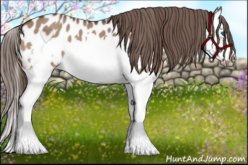 Horse Color:Bay Roan Dun Splash Frame Appaloosa