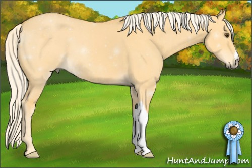 Horse Color: ERROR: UNKNOWN ANOMALY