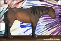 Horse Color:Brown Rabicano