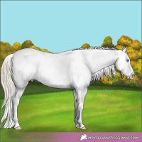 Horse Color:Chocolate Palomino Pearl Appaloosa  Brindle