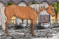 Horse Color:Silver Bay Frame  Brindle