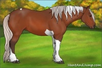 Horse Color:Silver Bay Tobiano 