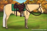 Horse Color:Silver Buckskin 