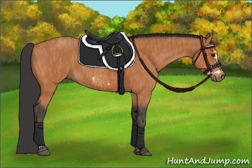 Horse Color:Bay Splash Frame  Brindle