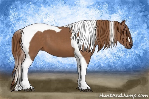 Horse Color: Chestnut Tobiano 