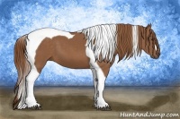 Horse Color:Chestnut Tobiano 