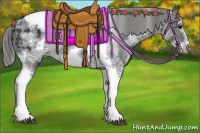 Horse Color:White Spotted Black Splash Tobiano Frame Blanket 