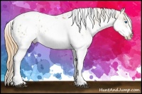 Horse Color:White Spotted Black Pearl Splash Tobiano Frame Appaloosa