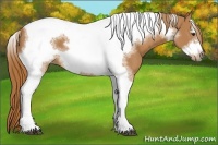 Horse Color:Chestnut Tobiano Frame 