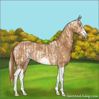 Horse Color:Cremello Tobiano  and Chestnut 