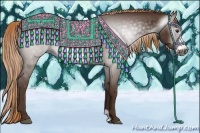 Horse Color:Gray Chestnut Frame 