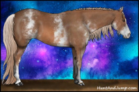 Horse Color:White Spotted Liver Chestnut Sabino 