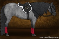 Horse Color:Blue Roan 