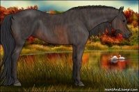 Horse Color:Brown Rabicano  Brindle