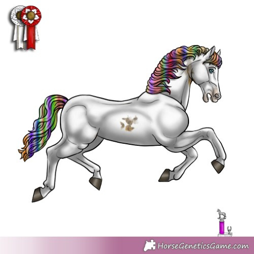 Horse Color: Painted White Spotted Buckskin Merle Splash 