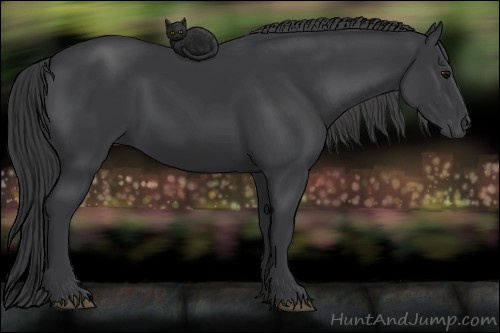Horse Color: Black 