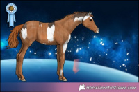 Horse Color:Bay Splash Brindle