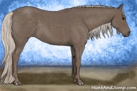 Horse Color:Silver Blue Roan 
