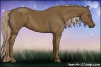 Horse Color:Chocolate Palomino 