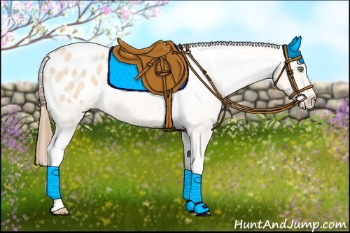 Horse Color:Gold Champagne Roan Dun Splash Tobiano Frame Blanket Rabicano 