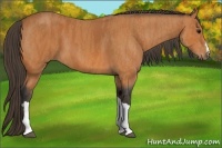 Horse Color:Bay  Brindle