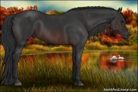 Horse Color:Brown Rabicano  Brindle