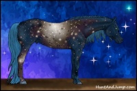 Horse Color:ERROR: UNKNOWN ANOMALY Brindle