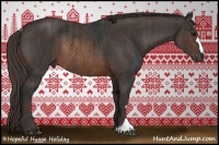Horse Color:Brown Rabicano  Brindle