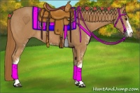Horse Color:Chestnut Sabino 