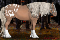 Horse Color:Liver Chestnut Mushroom Sabino Appaloosa 